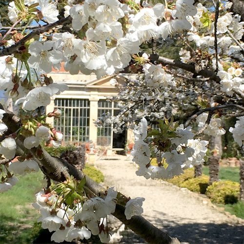 chateau-d'arnajon-jardins